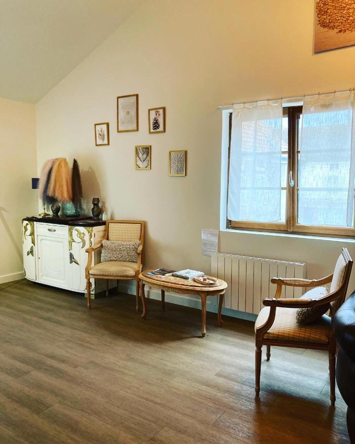 Le Carrosse, La Diligence, Centre Saint Jean De Losne Tarif 2Pers 1 Chambre, Tarif 4 Pers 2 Chambres エクステリア 写真